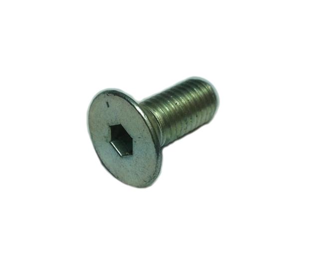RMS-2007 bolt